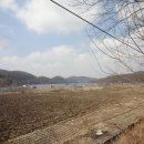 소문붕어찜 이미지