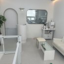 바닐라 퍼피 이미지