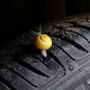 타이어도우미 이미지