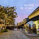 라파리메디핏 | 파리 라발레빌리지 아울렛 추천 브랜드 BEST3 실구매가 총정리