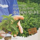 대실우리한의원 이미지