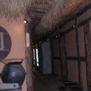 참나무쟁이 이미지