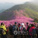 봉화산 연합뉴스