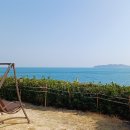 덴바스타 이미지