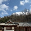 낙은로50번길 이미지