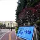 고려 태극태권도장 이미지