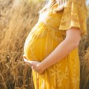 하이펫(개꿈꾸는 고양이) | 임신은 어차피 불공평한 거예요