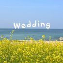 주)조이트래블여행사 | °• ♥ [Wedding 18] 신혼여행 준비 허니문여행사 계약 후기 &amp; 질문 정리 (원주 팜투어 허니문리조트...