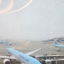 [필리핀/아닐라오] 필리핀 다이빙샵 JJ DIVE RESORT