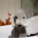 헬로우프리티 이미지