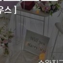 도이브 이미지