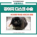 길음동물병원 이미지