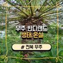 다육 놀이터 | 무주 가볼 만한 곳 반디랜드 생태온실/놀이터/후기/입장료/주차장