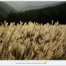 영남알프스 복합웰컴센터 이미지