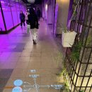 푸근푸근 | 페르난도 보테로전 전시 후기 예술의전당 한가람미술관 얼리버드 예매