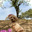 오마이뀨 이미지