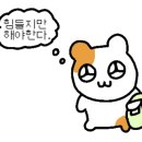 하원호성형외과의원 이미지