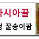 족발&파김치