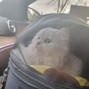 투루케어 이미지