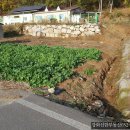 강화도공인중개사사무소 이미지