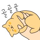 봉이네분식 이미지