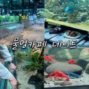 흥미가든 | [일산데이트코스] 아쿠아가든 후기 물멍카페 첫 방문