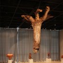 강진아트홀 전시실 화랑 이미지