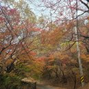 고창 다온 | 고창 가볼만한 곳 문수사 단풍명소 단풍구경 산책하기 좋아요