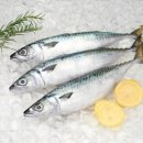 리오 퍼스널 트레이닝 이미지