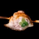 꼬지마루 | 시즈오카 신시즈오카역 / 토코시에 燒鳥 とこしえ