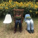 가재울근린공원 이미지