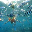 룰루투어 이미지