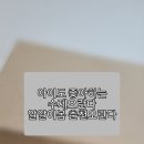 춘천오란다알알이봄