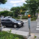 신호주차장 이미지