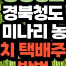 빛나농장 네이버블로그