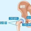 인천복싱 정우관 고관절스트레칭 방법! 이미지