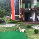 레젤프펜션 이미지