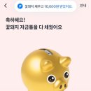 꽃돼지 이미지