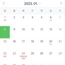 애플로라