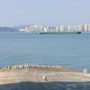 송도회집