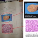 한동물병원 이미지