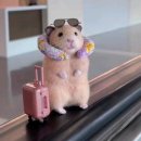 동해세관 청사(1층) | [하니문 1] 개노답 부부의 호주 침략기 - 해밀턴 아일랜드를 가다