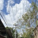 마켓스트 이미지