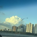 목동자생한방병원 | 자생한방병원 | 목동자생한방병원 | 교통사고병원후기