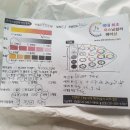 강남 제이비헤어스토리 청담점 퍼스널컬러 진단 후기 겨울쿨톤 꽝꽝!