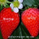 롯데캐슬1번지공인중개사사무소 이미지