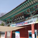 롯데리아 대전신성 | 극 P의 2박 3일 전주 여행 / 뚜벅이 여행 코스 추천