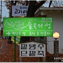 숲속의 섬 이미지