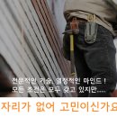 알파인력소개소