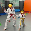 용인대하가태권도 이미지